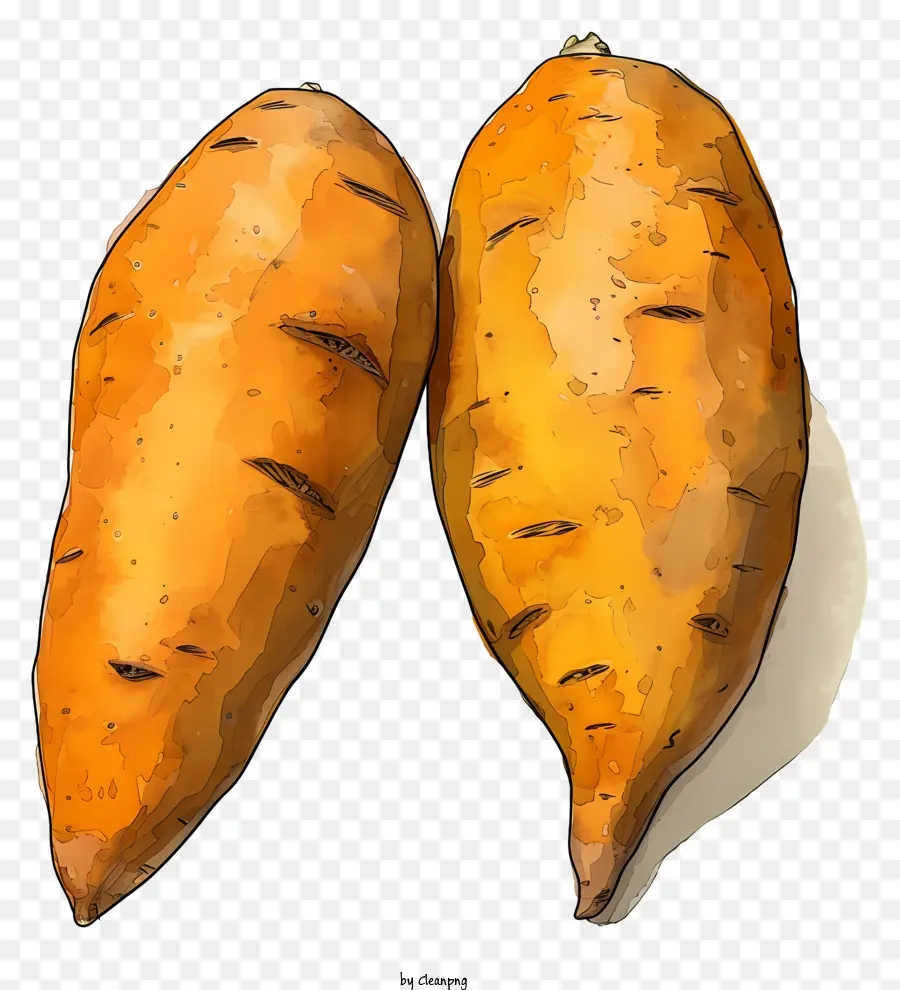 Pommes De Terre，Les Carottes PNG