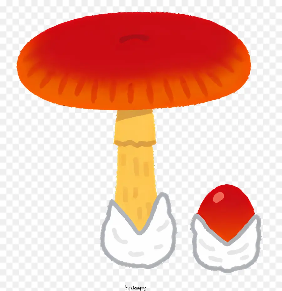 Champignon，Champignon Rouge PNG