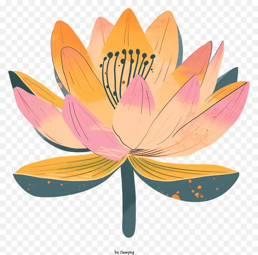 Fleur De Lotus，Pétales PNG