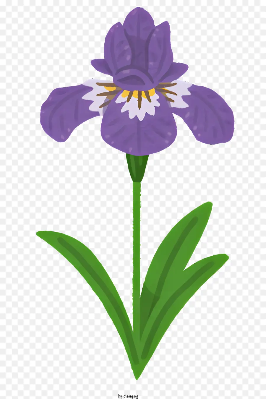 Fleur，Fleur D'iris Violet PNG
