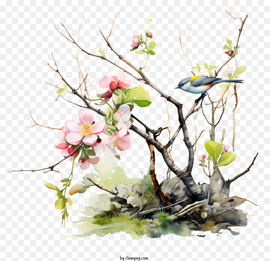 Le Printemps Commence，Oiseau Assis Sur Une Branche D'arbre PNG