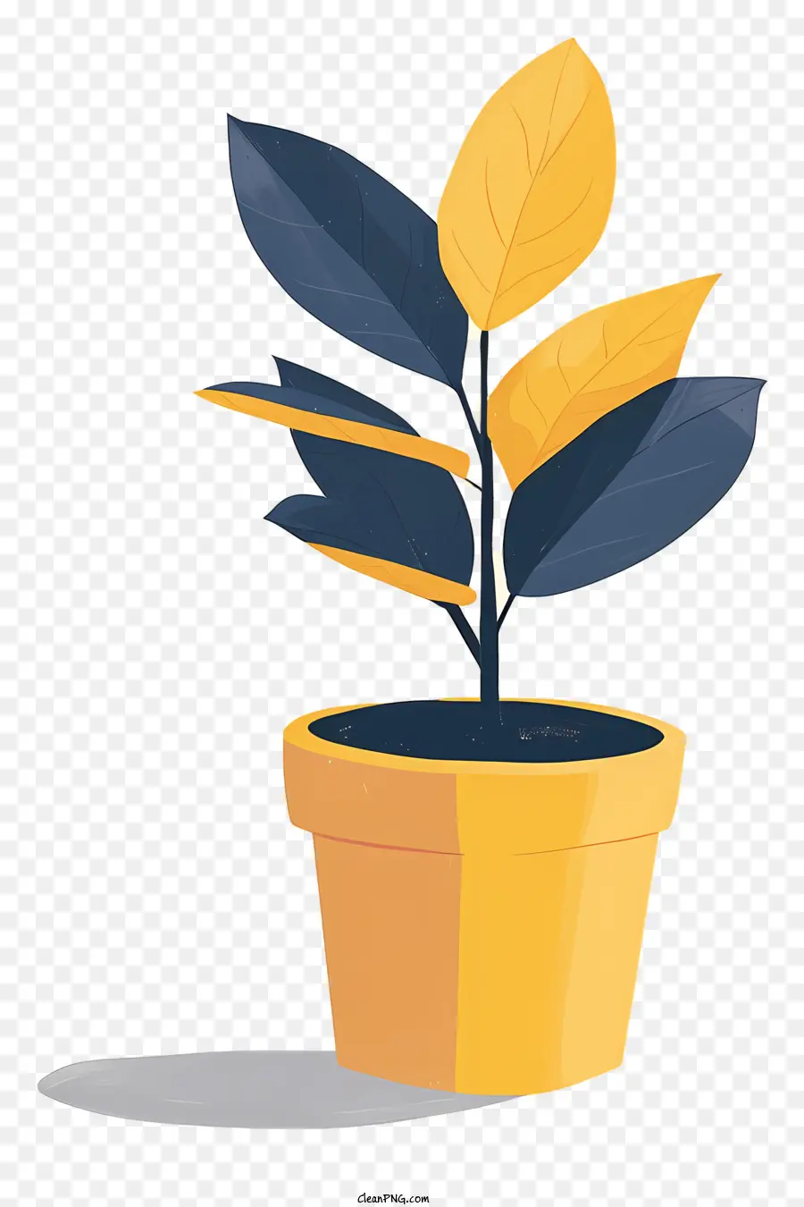 Moderne Pot De Fleur，Petite Plante PNG