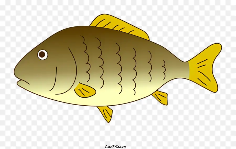 Poisson，Aquatique PNG