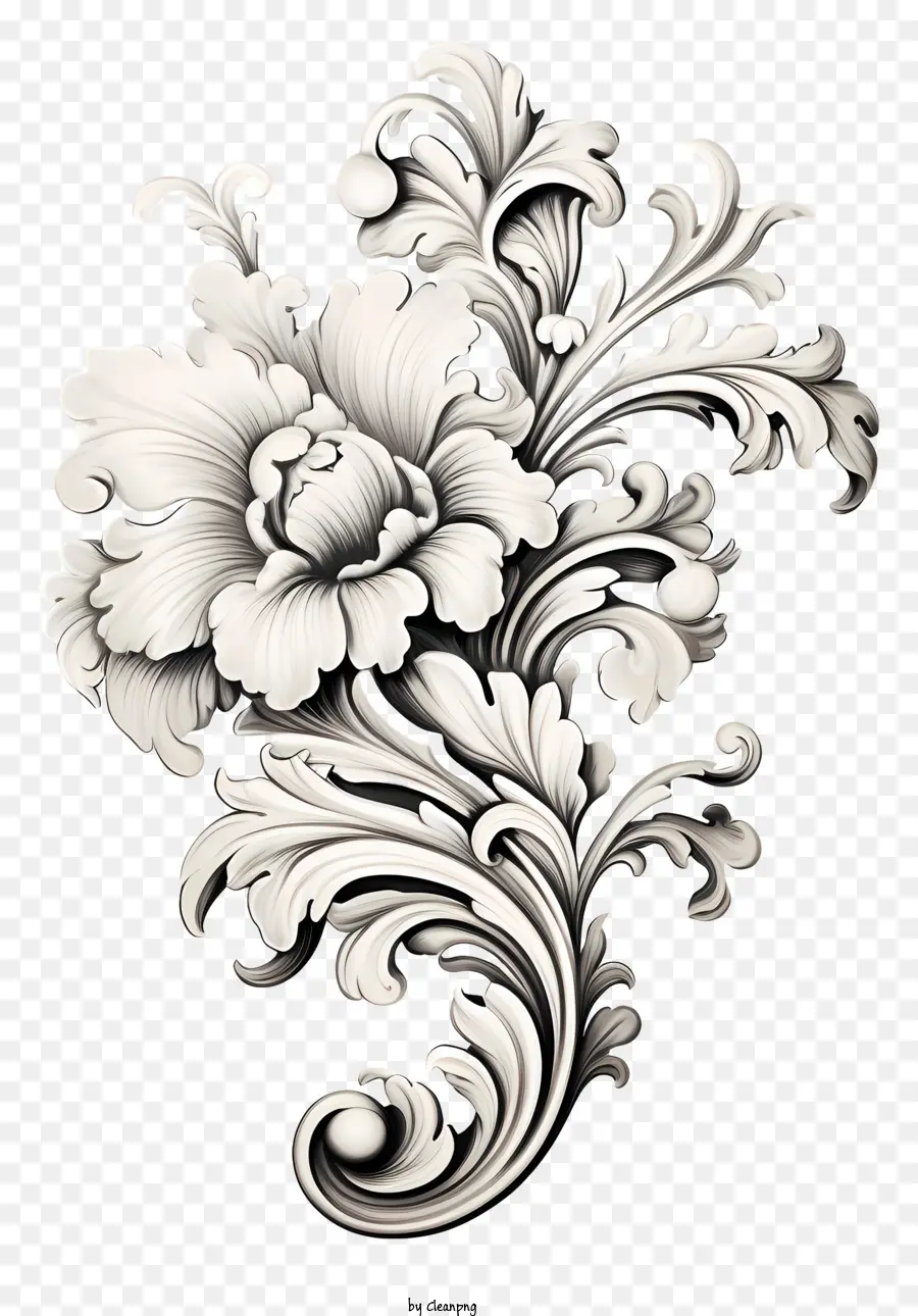 Design Floral，Fleurs Blanches PNG