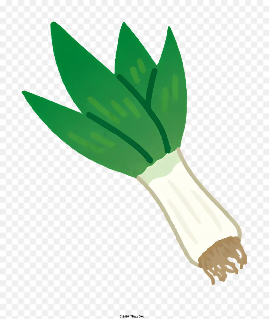 Légumes，L'oignon Vert PNG