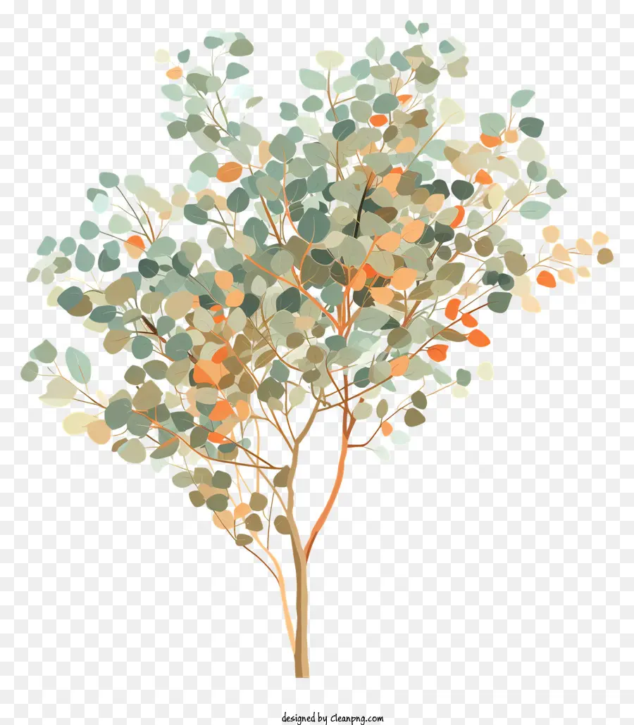 Arbre，Plante D'eucalyptus PNG