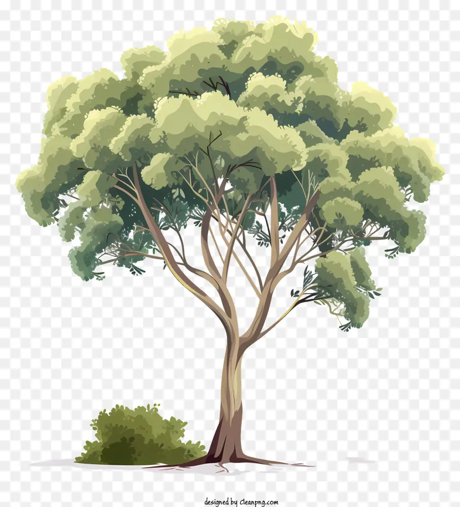 Arbre，Les Branches PNG