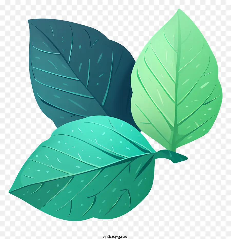 Feuille Verte，Feuille PNG