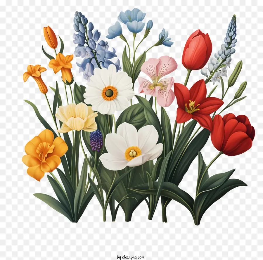 Fleurs De Printemps，Les Tulipes PNG