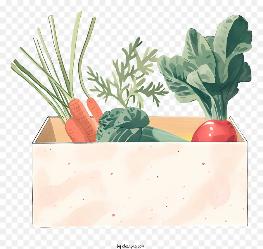 Légumes Boîte，Les Carottes PNG