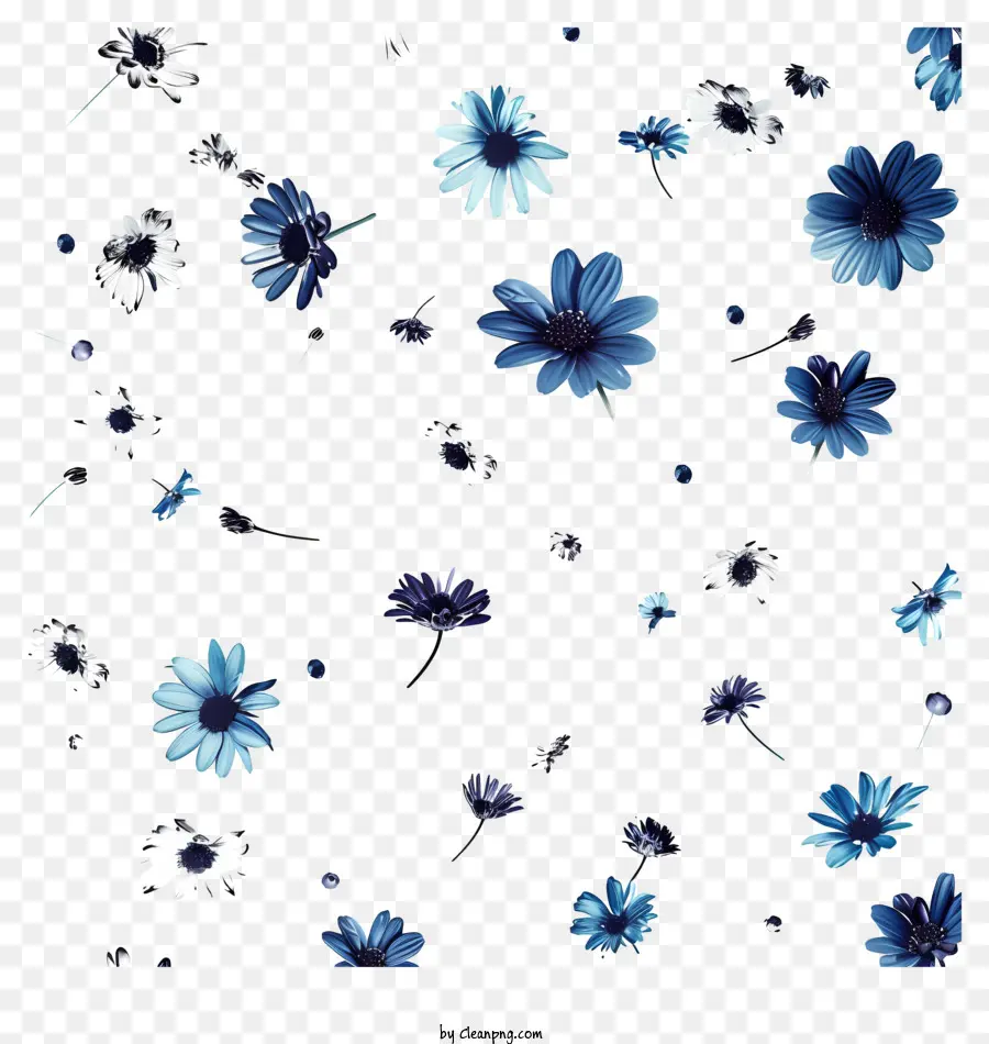 Fleurs Volantes，Fleurs PNG