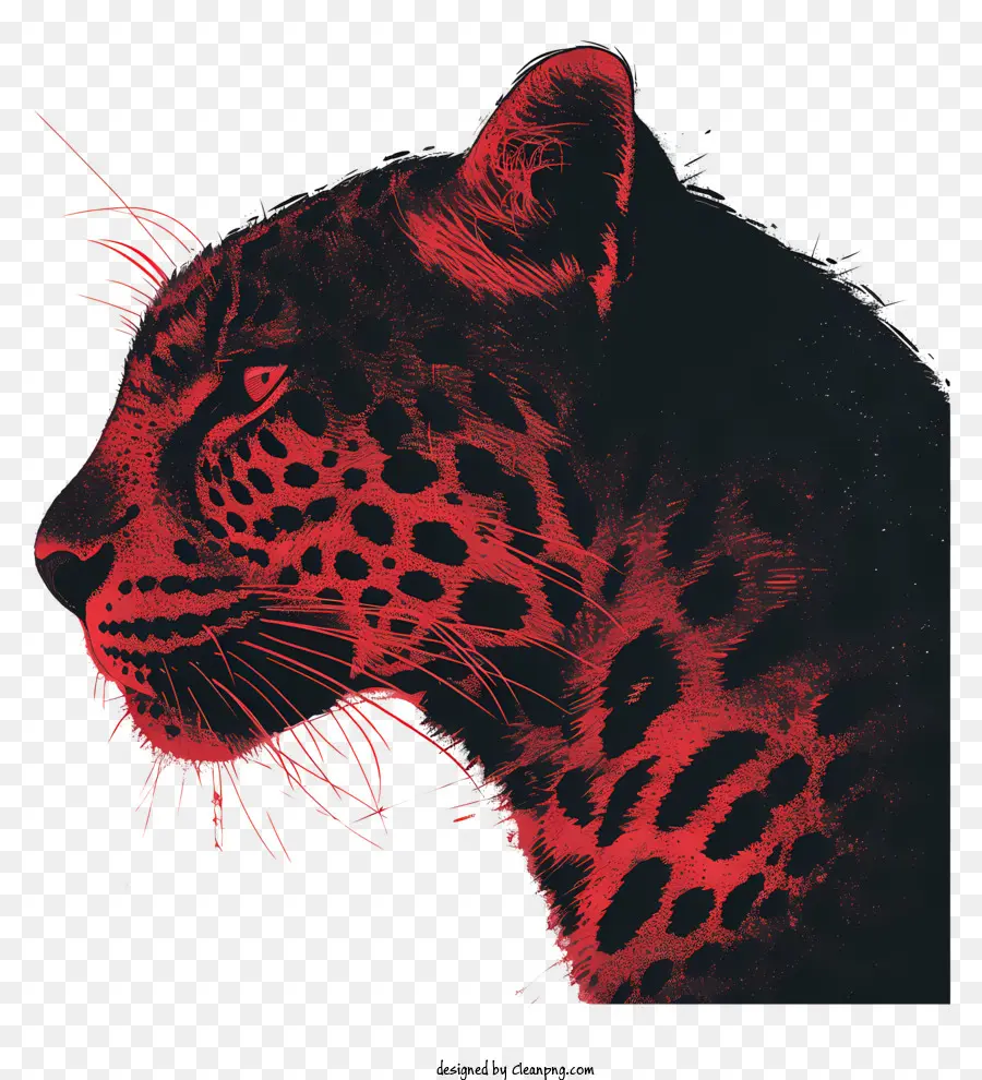 Leopard，Photographie En Noir Et Blanc PNG