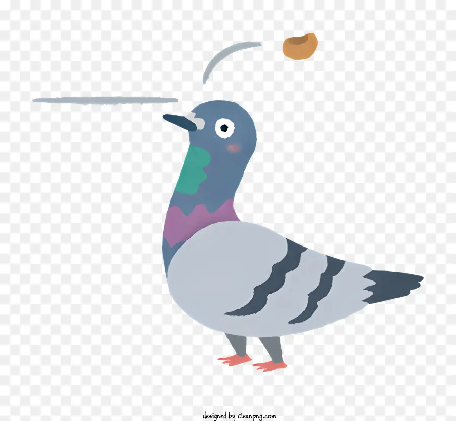 Pigeon，Oiseau PNG
