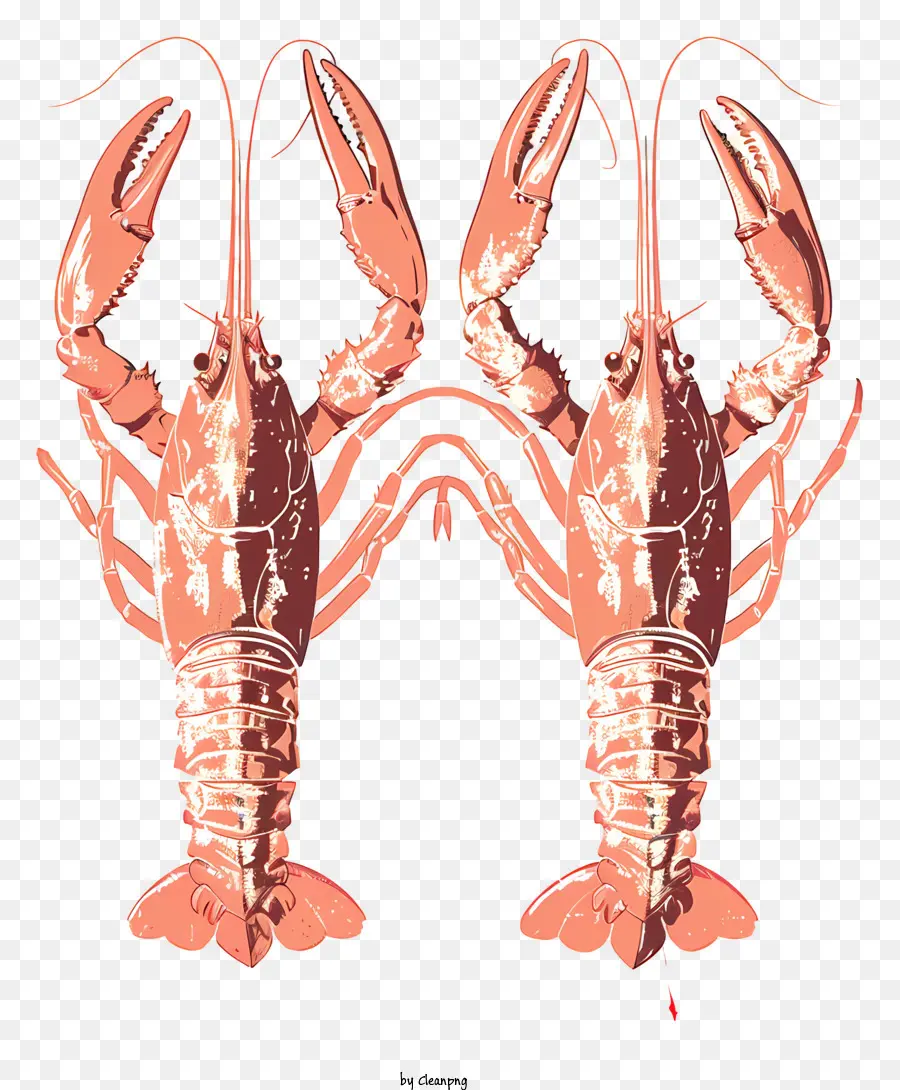 Les écrevisses，Les Homards PNG