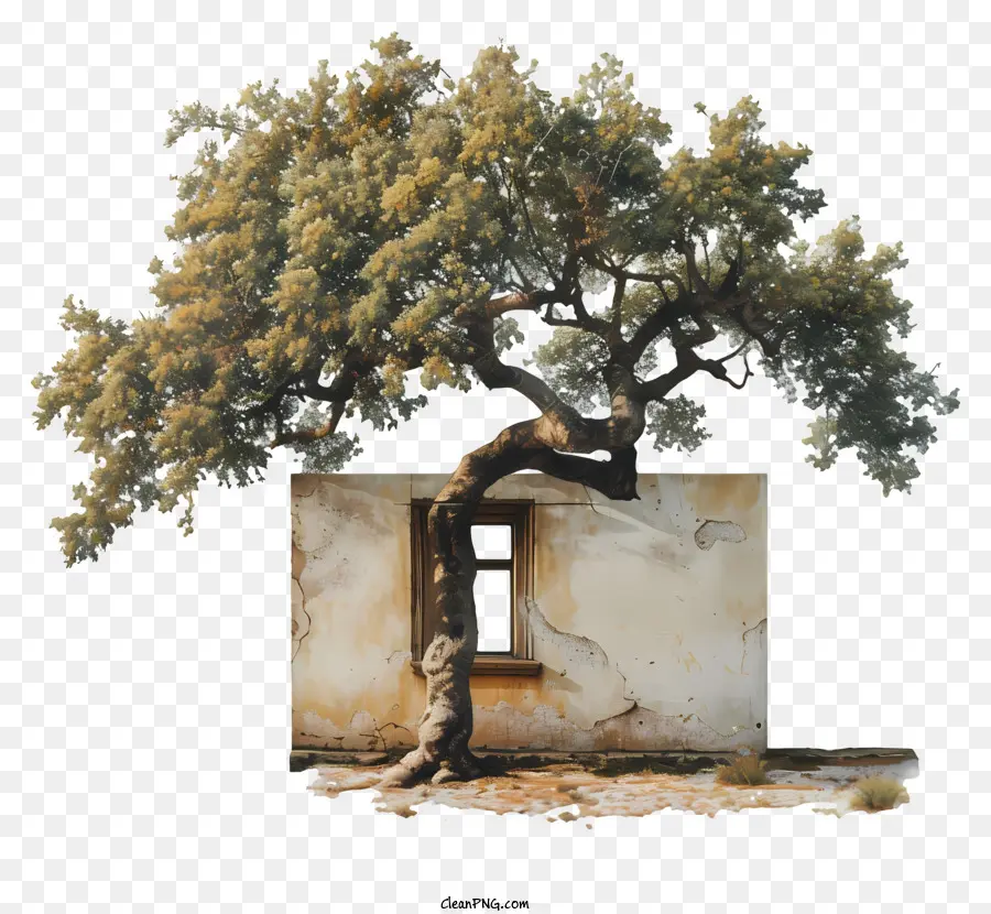 Arbre Architectural，Arbre Et Maison PNG