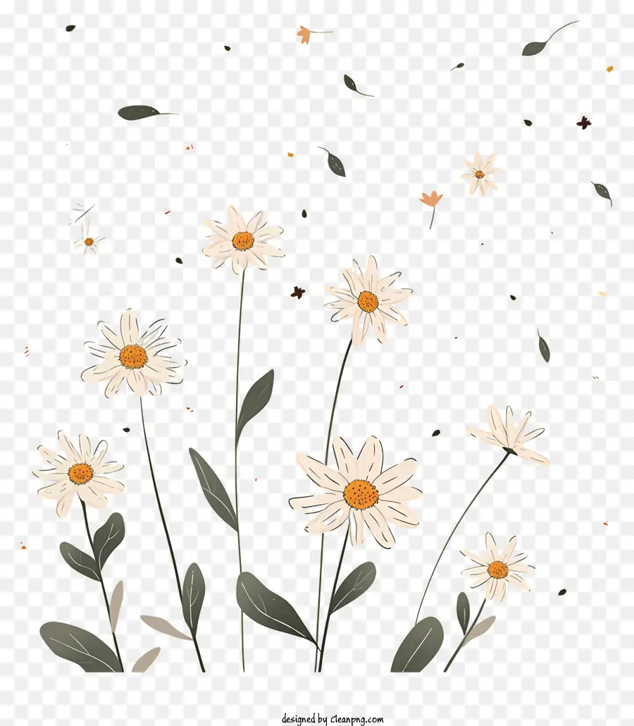 Vol Fleurs，Marguerites PNG