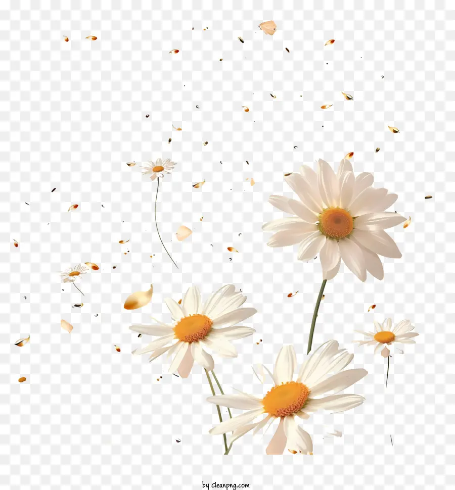 Fleurs Volantes，Fleurs Sauvages PNG