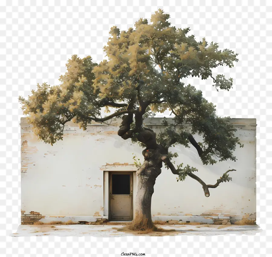 Arbre Architectural，Arbre Et Maison PNG