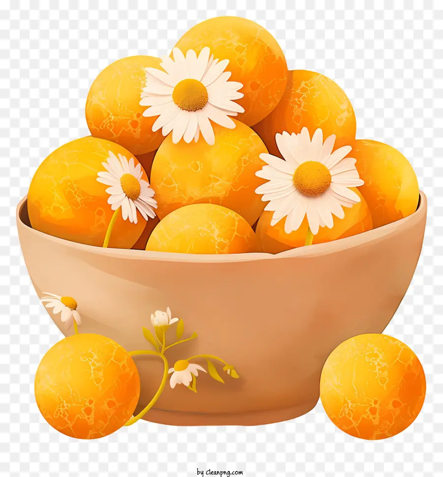 Labbe，Bol D'oranges PNG