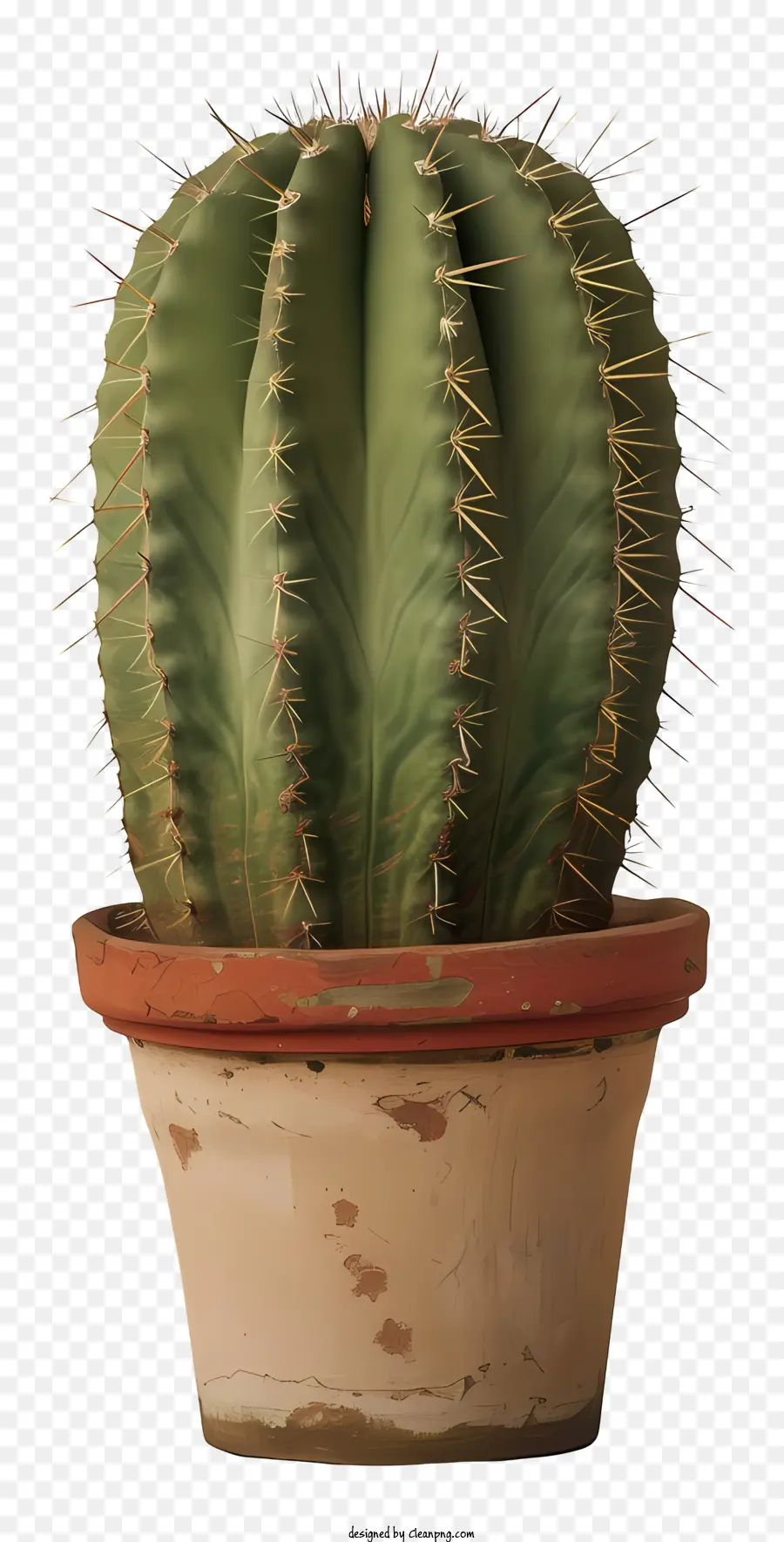 Cactus En Pot，Cactus PNG