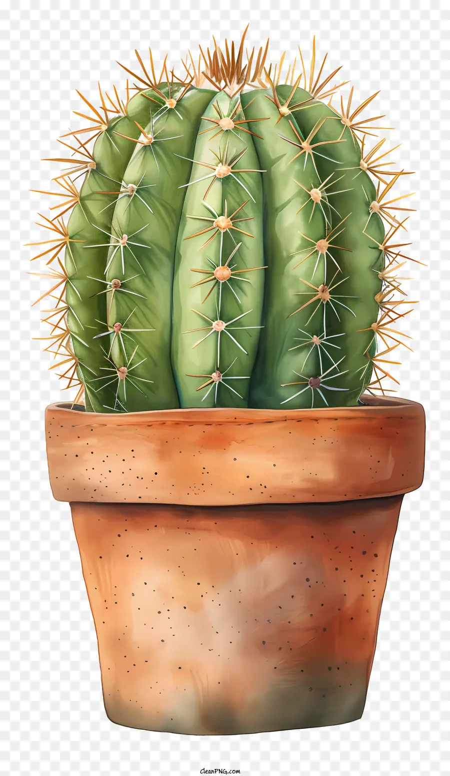 Cactus En Pot，Cactus PNG