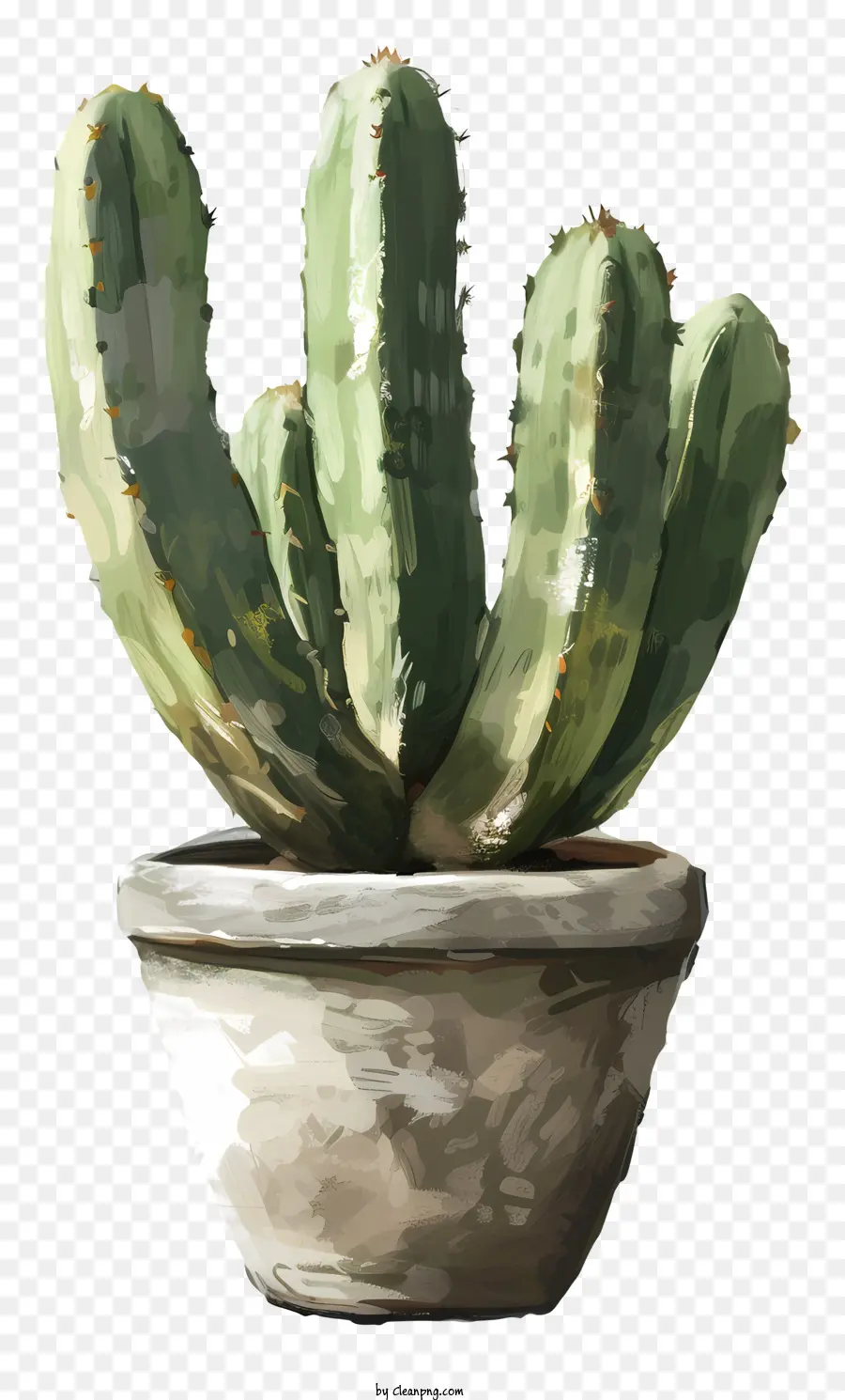 Cactus En Pot，Peinture à L'aquarelle PNG
