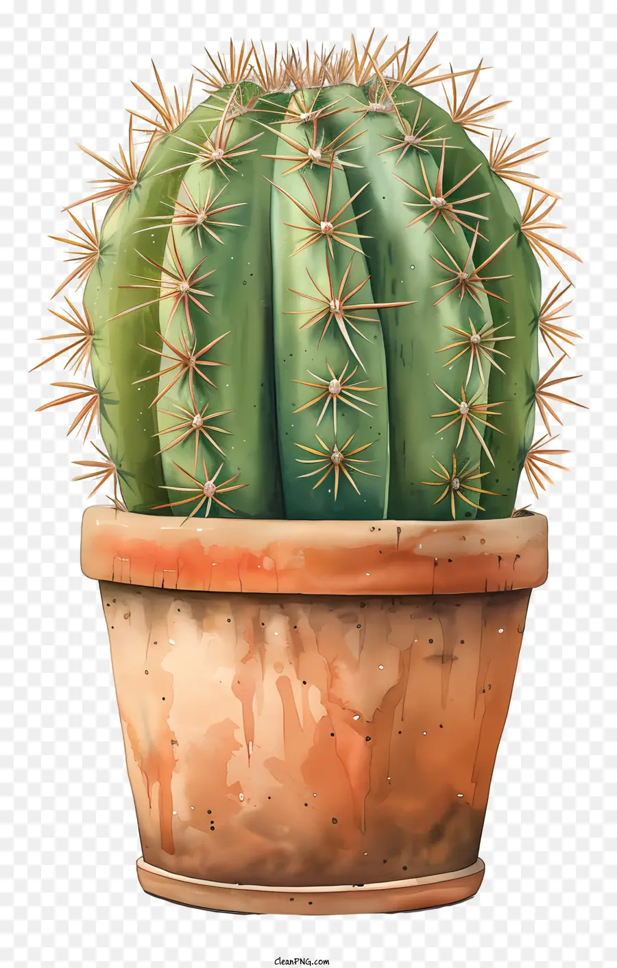 Cactus En Pot，Peinture PNG