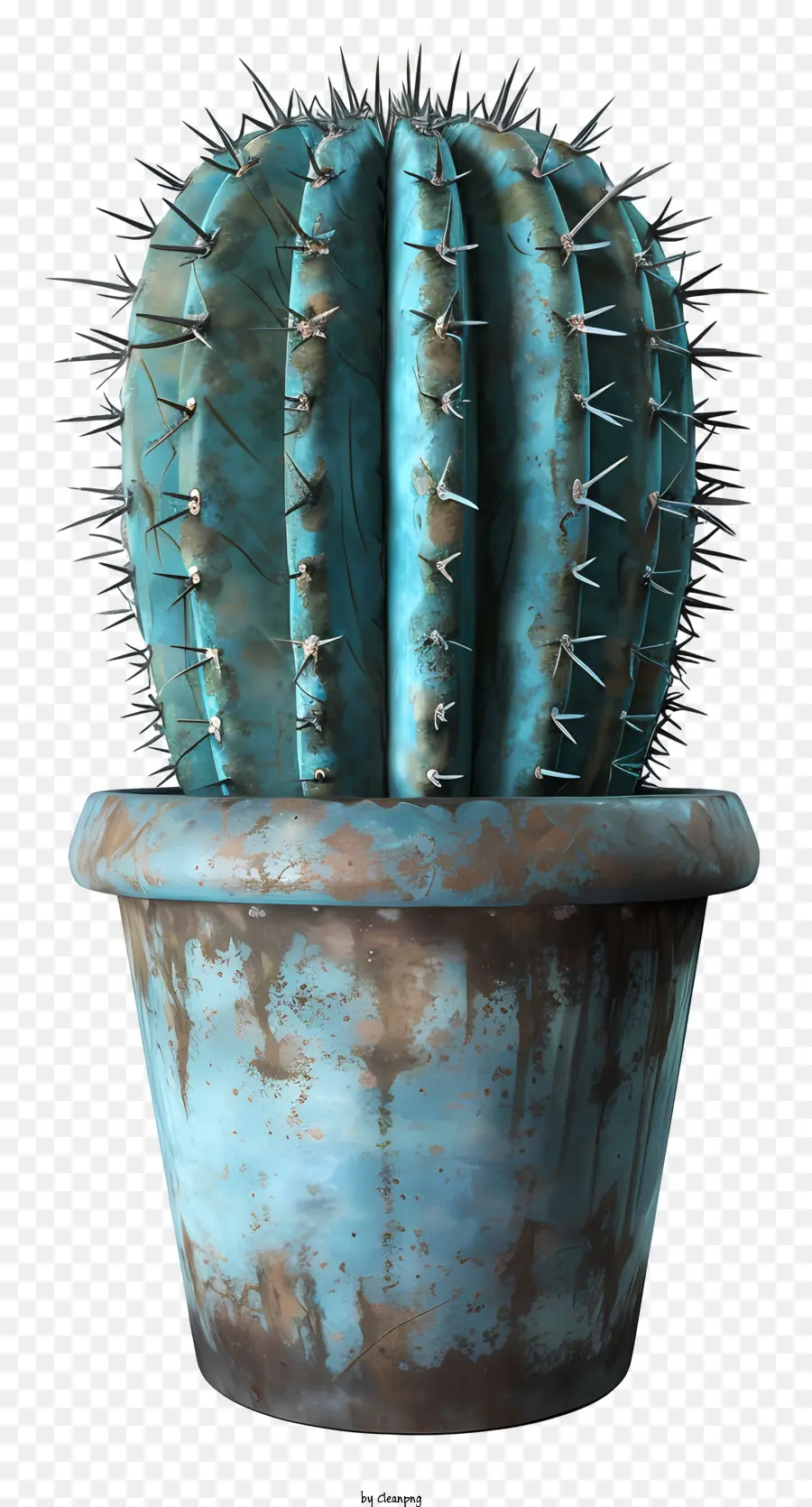 Cactus En Pot，Bleu Cactus PNG