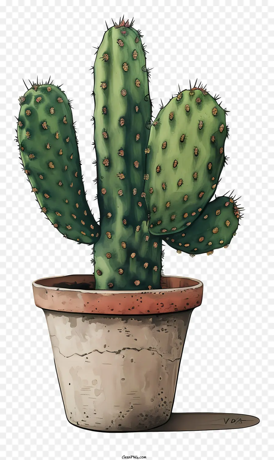 Cactus En Pot，Pot De Cactus PNG