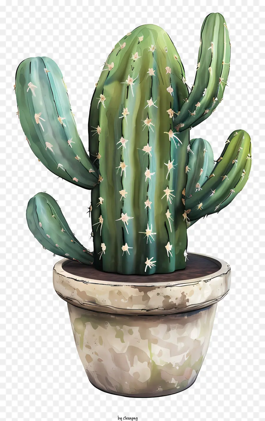 Cactus En Pot，Vert Cactus PNG