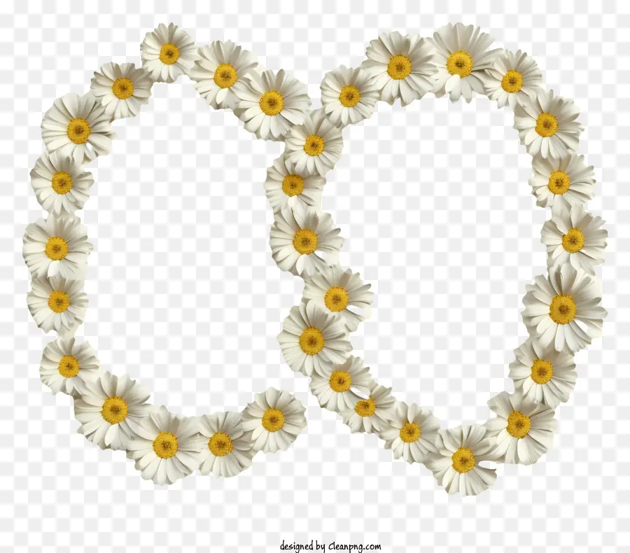 Symbole De L'infini，Daisy Couronne PNG