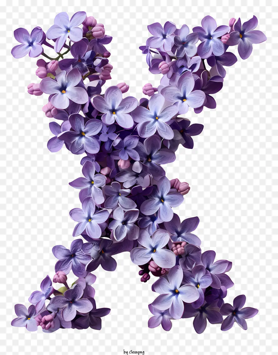 Lettre Florale X，Purple X PNG