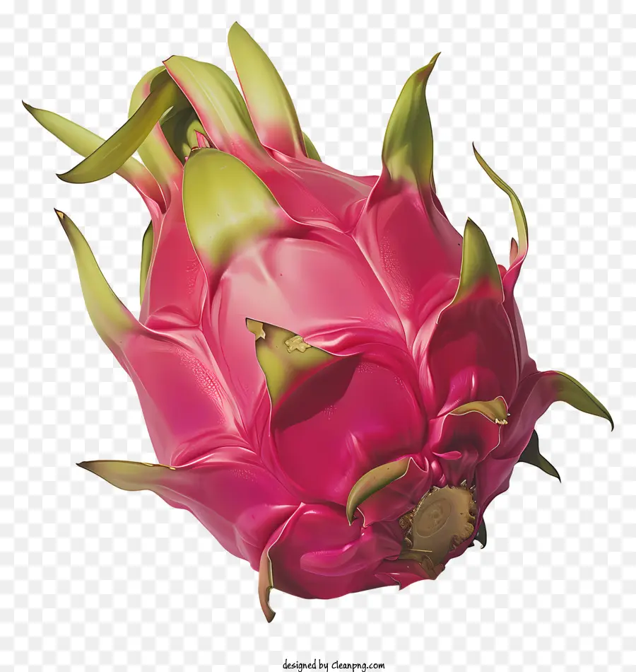 Fruit Du Dragon，Rose De Fruits PNG