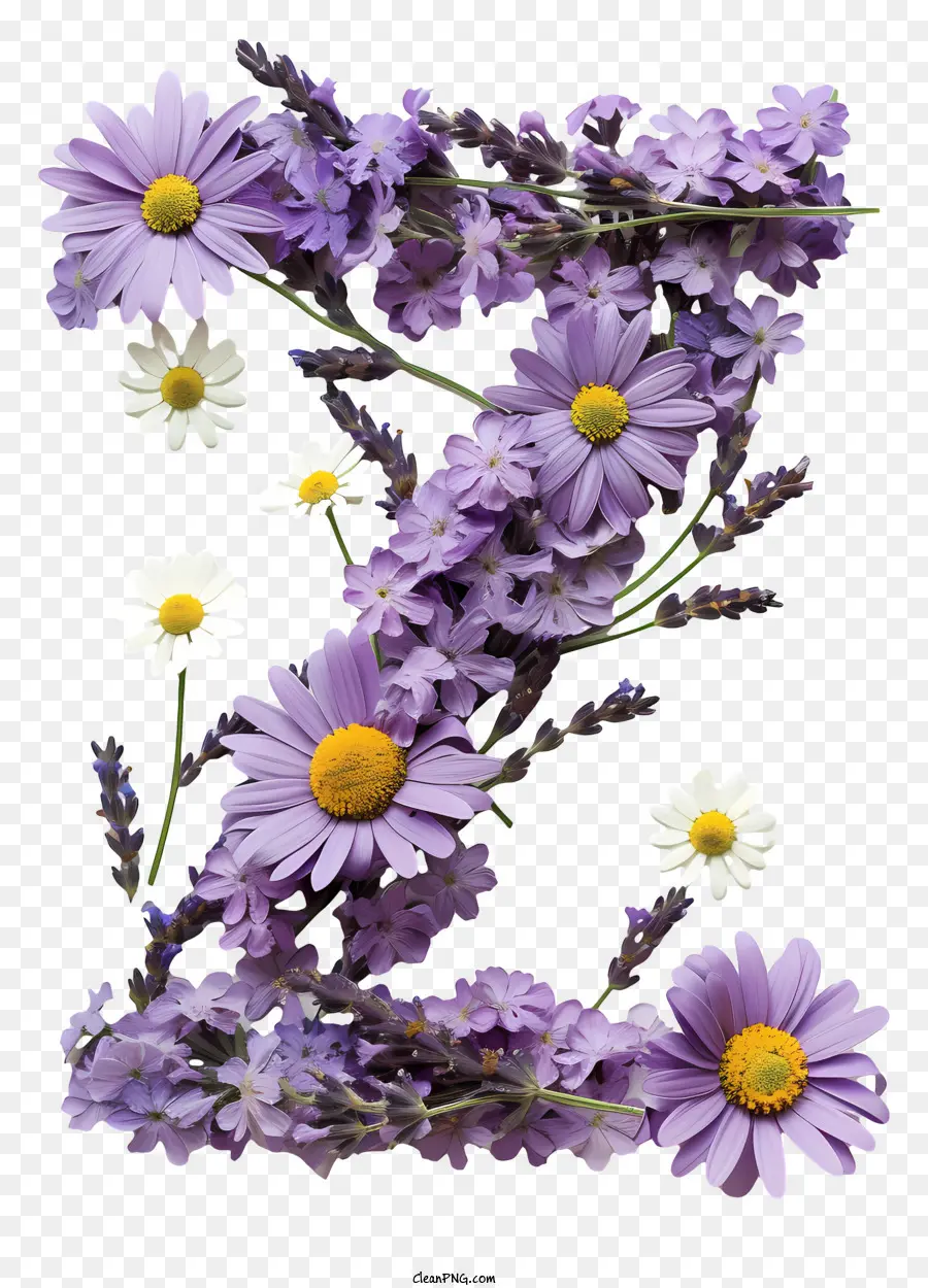 Lettre Florale Z，Z Violet Avec Marguerites PNG