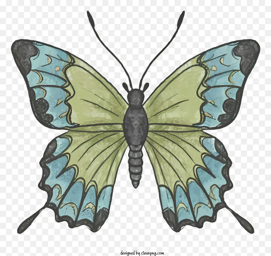 Papillon，Vert Papillon PNG