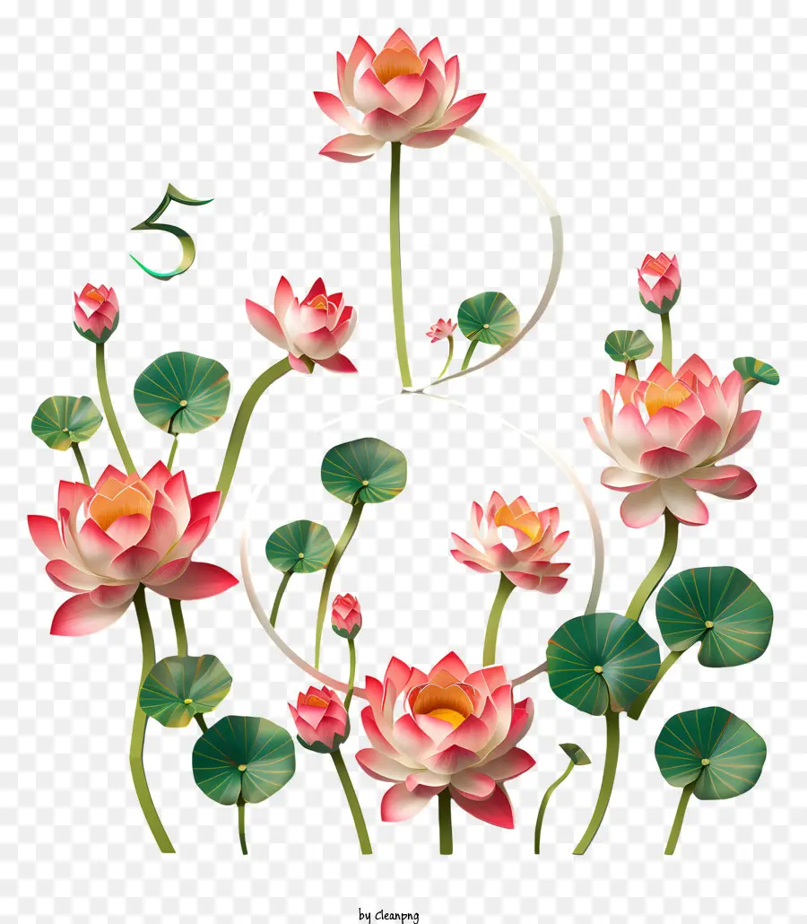 Numéro De Floral Huit，Des Fleurs De Lotus PNG