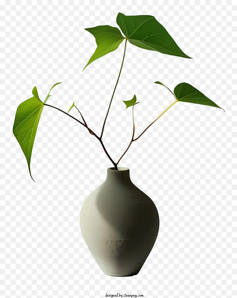 Vase，Vase Avec Branche PNG