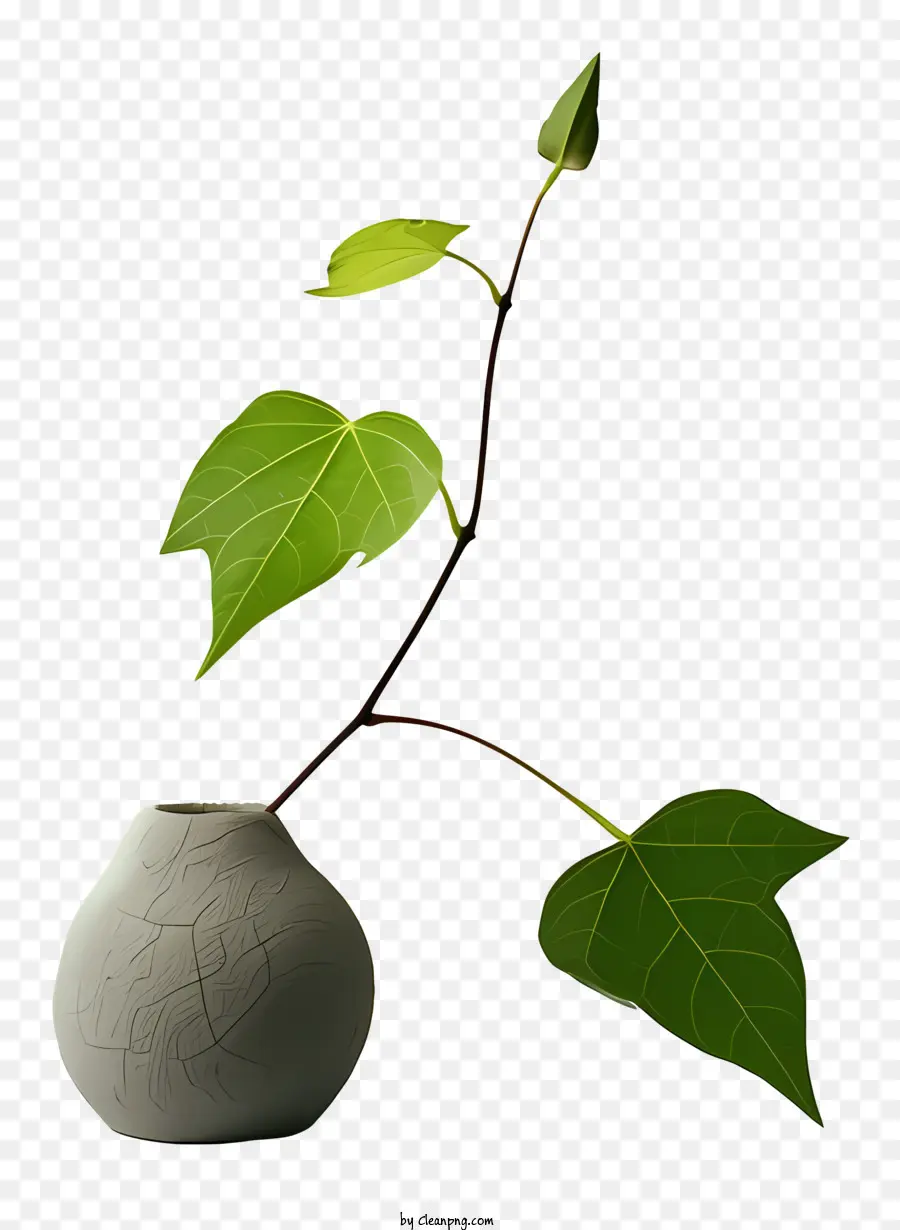 Vase，Feuille Dans Un Vase PNG