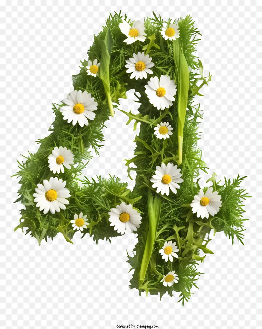 Numéro 4 Fleurs，Le Nombre De Fleurs PNG
