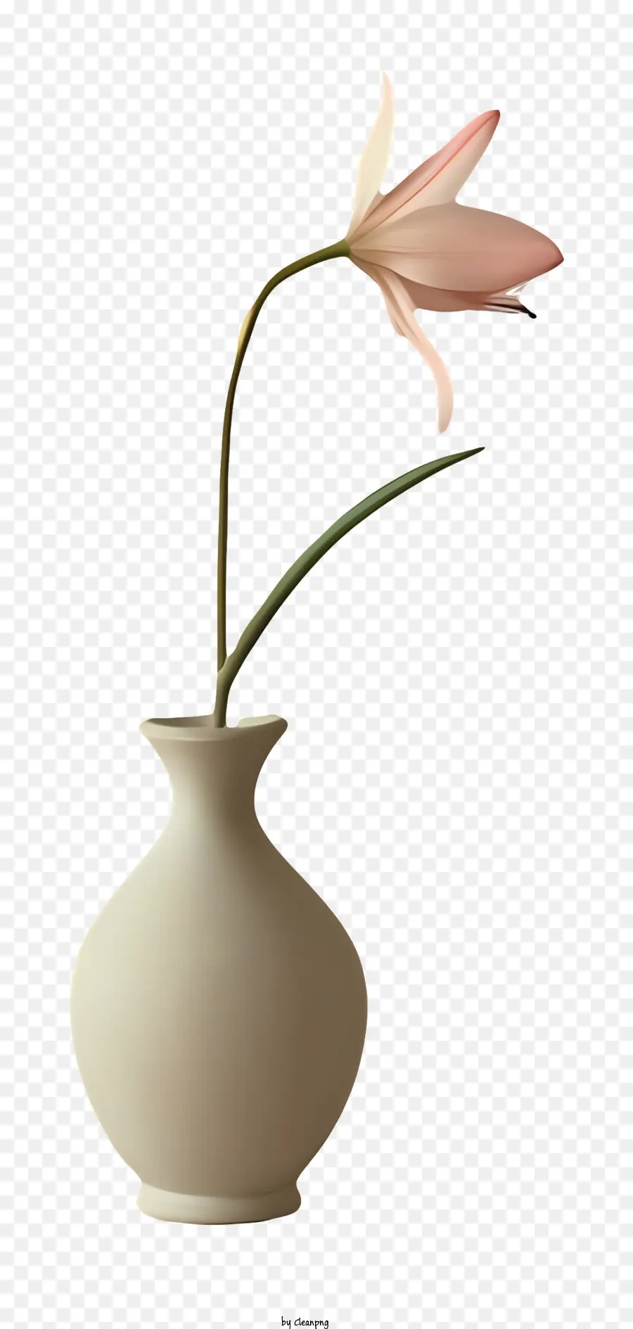 Vase，Vase En Porcelaine PNG