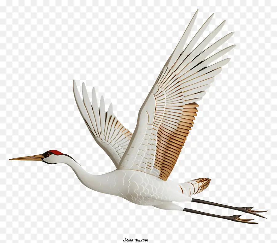 Grue，L'oiseau Blanc PNG