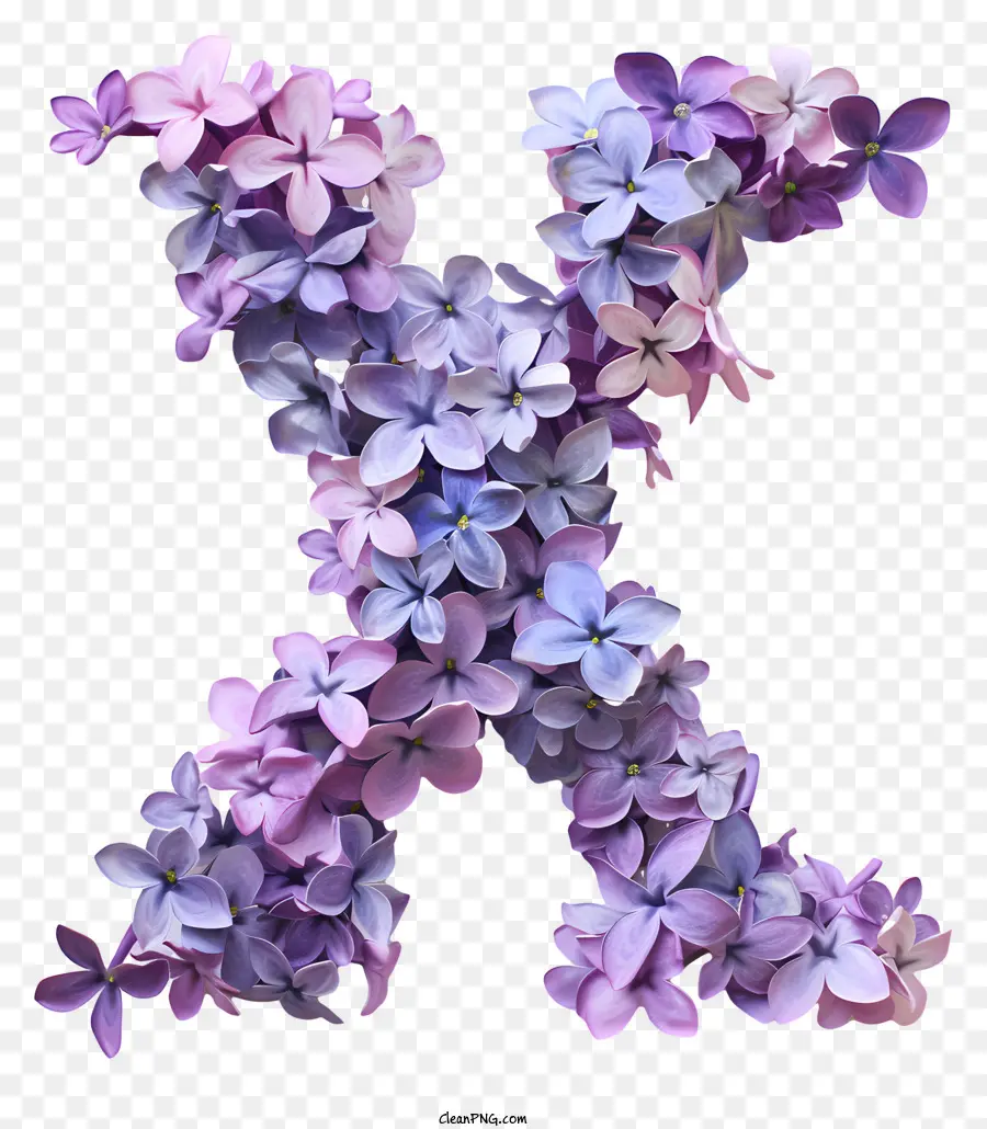 Lettre Florale X，Fleurs PNG