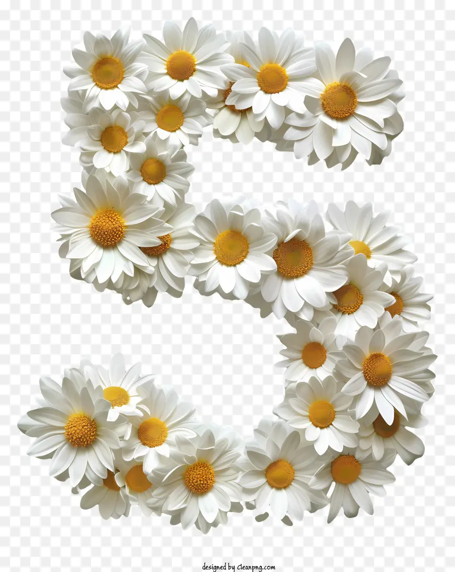 Fleurs Numéro 5，Numéro 5 PNG