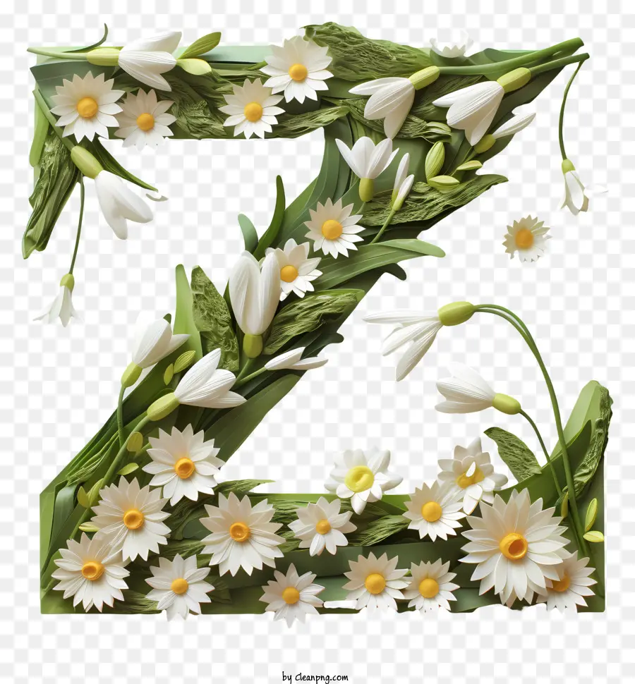 Lettre Florale Z，Lettre Z PNG