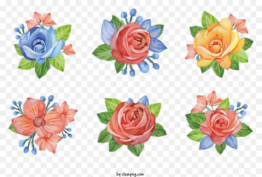 Fleur，Aquarelle Roses PNG