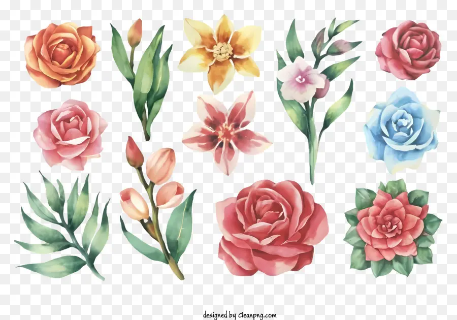Fleur，Aquarelle Floral PNG