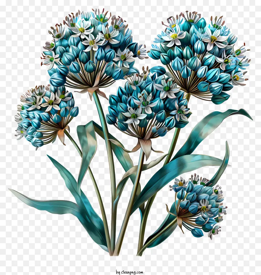 Fleurs Allium Giganteum，Fleurs De L'iris Bleu PNG