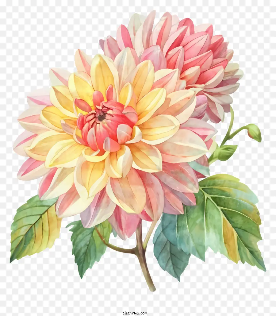 Lettre Florale C，Fleur Rose PNG