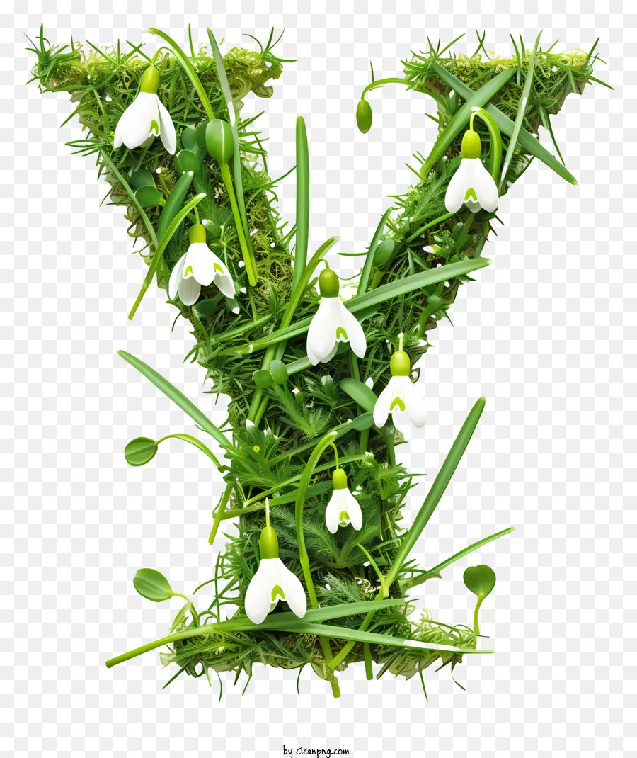 Lettre Florale Y，Vert Mousse PNG