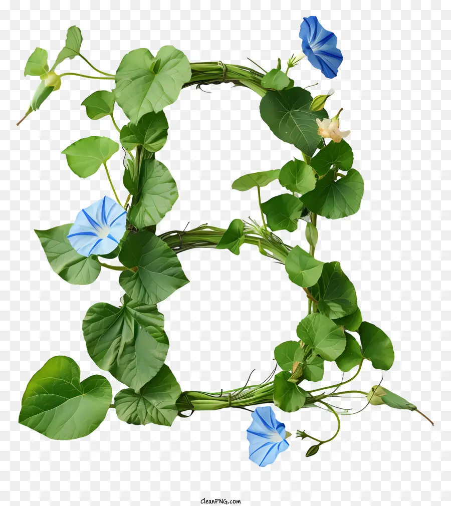 Lettre Florale B，Lettre B PNG